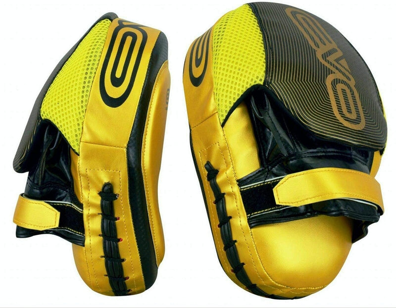 EVO Fitness Boxing Gloves and Focus Pads Deal